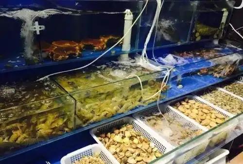 开渔季,海鲜大餐画面好感人
