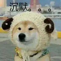 柴犬单身狗表情包微信头像图片大全
