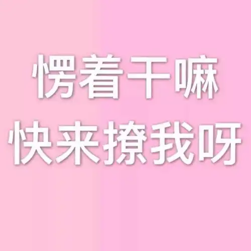 好久没发文字头像了
