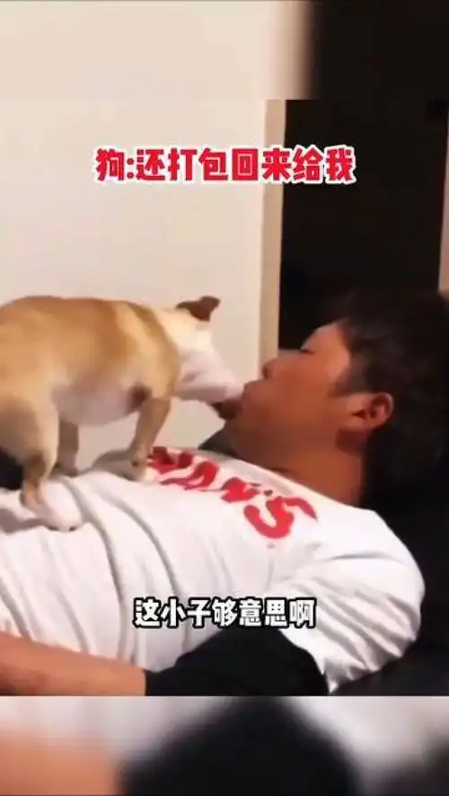 恶搞配音搞笑集锦囧事我伙呆方言配音出糗糗事集锦爆笑动物反转恶搞字幕
