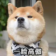 游戏圈的世界纪录不休息玩了7天游戏,挑战结束差点挂彩
