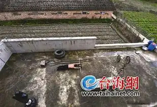 杀猪桌成健身神器搞直播月入数万元
