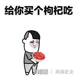 红枸杞在左,黑枸杞在右