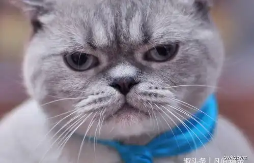 搞笑段子地铁上大爷给我看面相
