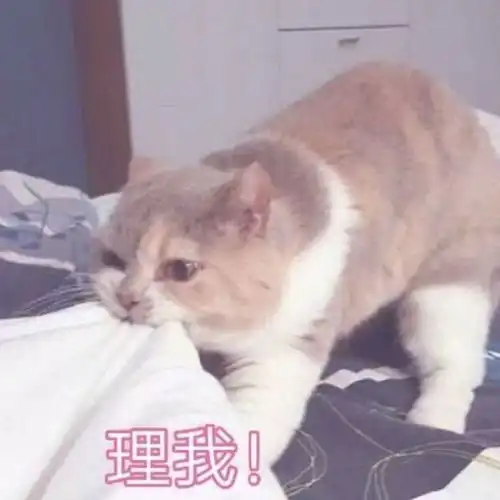 搞笑表情包图片我要保持冷静,一定不笑
