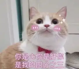 我们青春正好,她们年华已老
