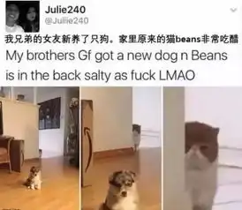 搞笑图片女朋友喝多了怎么办
