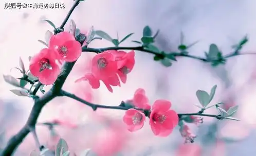 熬到4月8.9号,3属相财富堆成山,事业春风得意,富贵入宅
