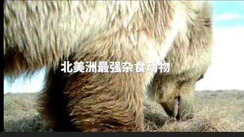 北美洲最危险动物百科知识动物有趣的冷知识
