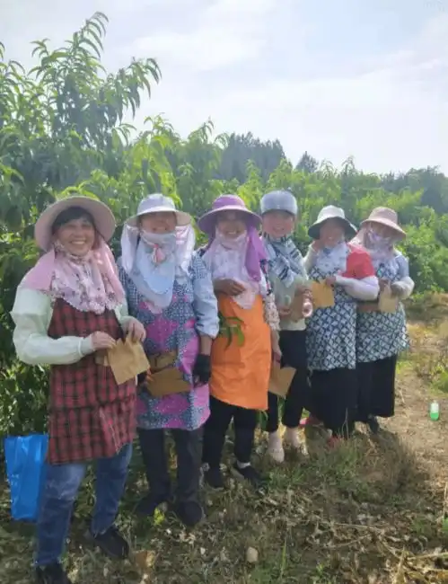 群雁高飞头雁领一一宣城市老体协共产党员潘美英带领会员助力桃园保卫战
