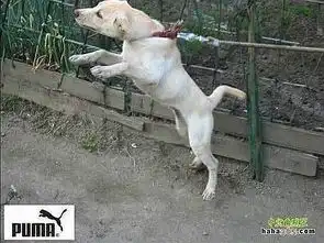 谁不笑就去上吊系列一些好玩的图片d
