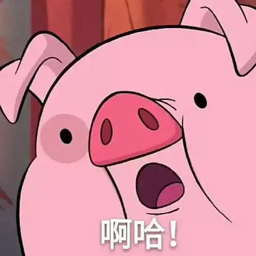 什么猪猪年只有364天,你造么
