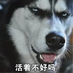 qq搞笑表情包带字图片
