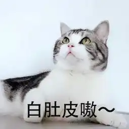 养英短好还是美短好有人说英短更亲人,养过的都说太安静