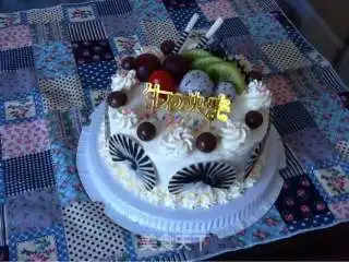 生日蛋糕的做法侄子的生日蛋糕6寸生日蛋糕怎么做zlpcathy的菜谱
