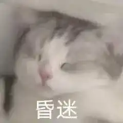 沙雕小表情4离谱
