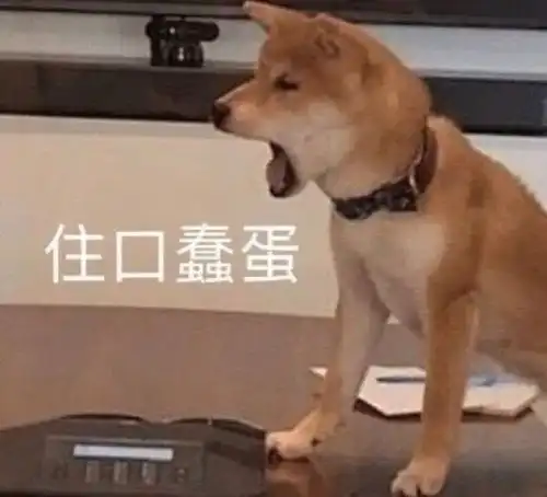 表情包开心到变异
