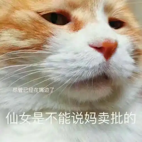 学习新媒体运营有必要报培训班吗
