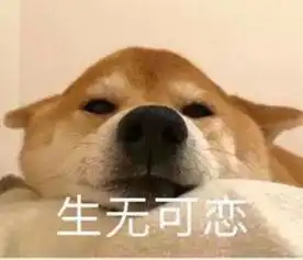 一场奇妙的旅行之杭州西湖大杂烩2
