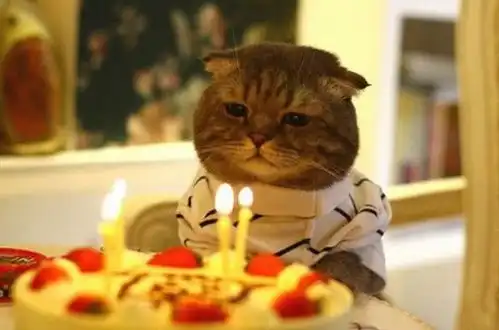 一个人过生日真的很不开心
