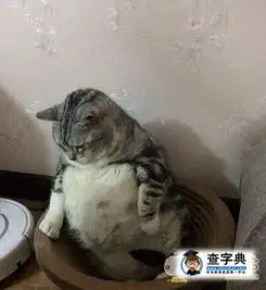 胖得跟怀孕了一样,喵搞笑图片
