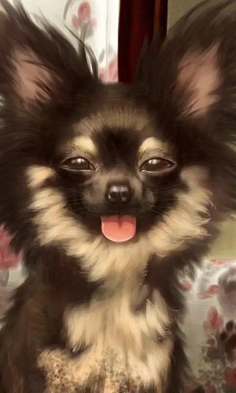 有趣的小狗拼图好玩吗怎么玩有趣的小狗拼图游戏介绍
