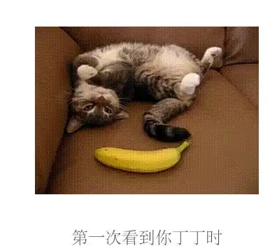 幽默图片搞笑段子俗话说天妒英才,所以人还是蠢点好
