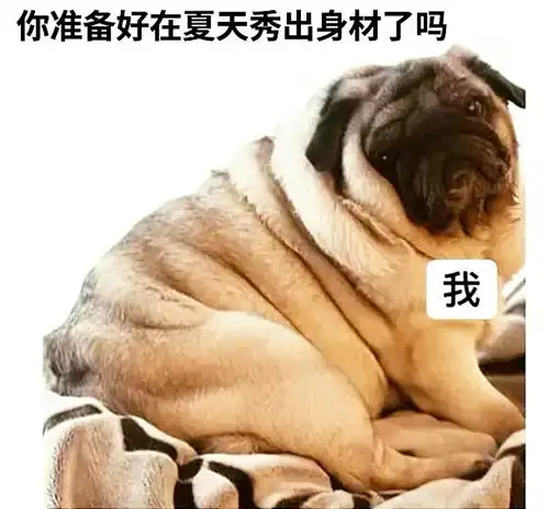 搞笑趣图小学时期你学到了哪些经典的骂人语录
