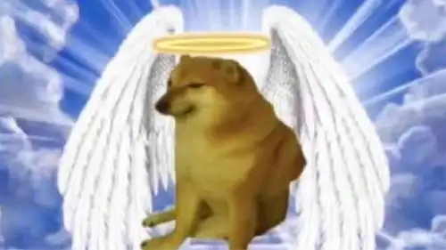 废柴表情包柴犬去世,主人回应请记住它为这个世界带来的快乐
