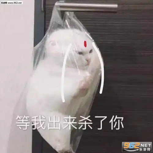 小宝贝我来了表情包动图等我出来杀了你表情包下载乐游网游戏下载
