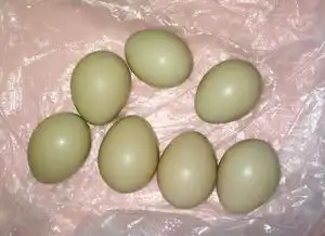 有谁知道绿皮的比鸡蛋小的是什么蛋吗有图片
