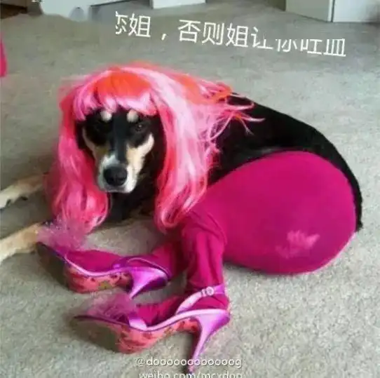 太过搞笑要命了
