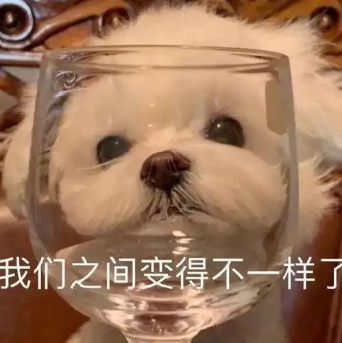 沙雕表情小狗勾的坏心眼可多着呢