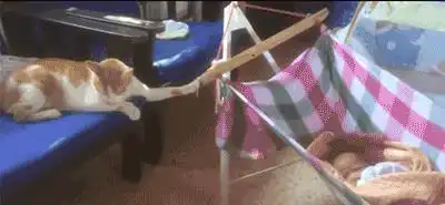 搞笑图片笑话段子因为雾霾太严重了
