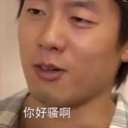 好的鸭表情包洪世贤