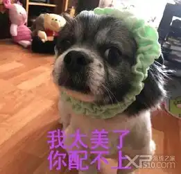 你算什么东西微信表情包你是个什么东西你自己清楚表情包下载最新版免费下载xp系统之家
