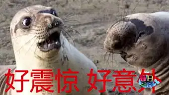 每日一囧的个人频道
