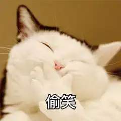 我超级喜欢的一组搞笑猫猫表情,超可爱沙雕哇,快来收图
