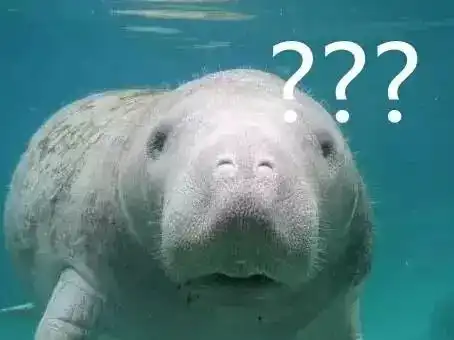 十万个冷知识四百五十三
