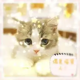 介绍动物的说明文700字要搞笑点
