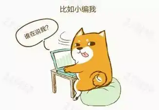 关注丨双11你参与剁手了吗数据显示,广东人果然还是最壕的
