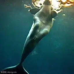 搞笑图片健身房里是这样拉腿的吗
