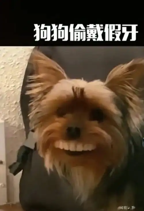 常用app的真正用途太真实了哈哈哈......

