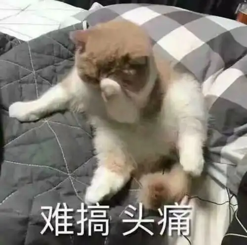 信誓旦旦要哺乳到2岁的我,在20个月的时候崩了
