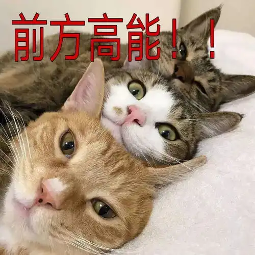花都校区叮咚,你有一场运动会未查收

