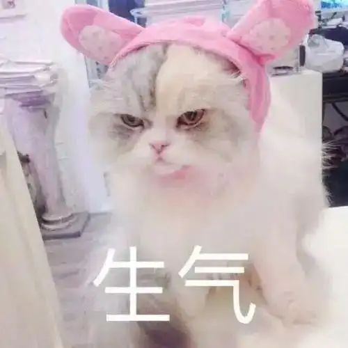 知道这个知识,让你的狗狗多活十年

