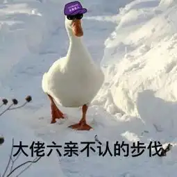 厉害了动物沙雕表情包赶紧马住
