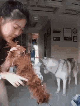 搞笑gif段子妹子这身材,看多少遍都不烦表妹
