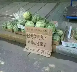 搞笑图片打的追公交车,上车你还打人
