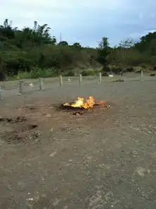 去台湾躲重度雾霾201312图片
